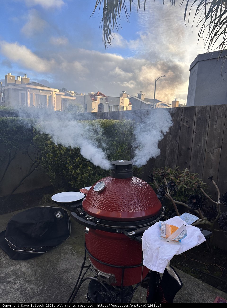 Smoky BBQ Delights