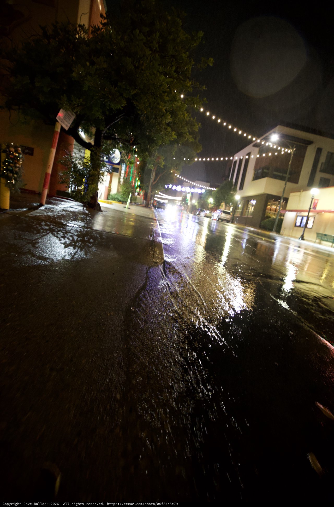 Rainy Night on an Illuminated Downtown Street