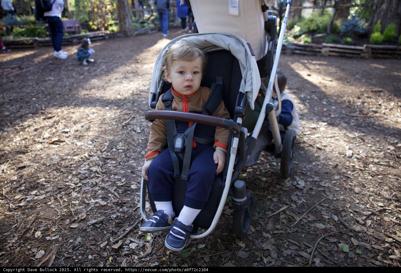 A Stroll Through Thistlewyck