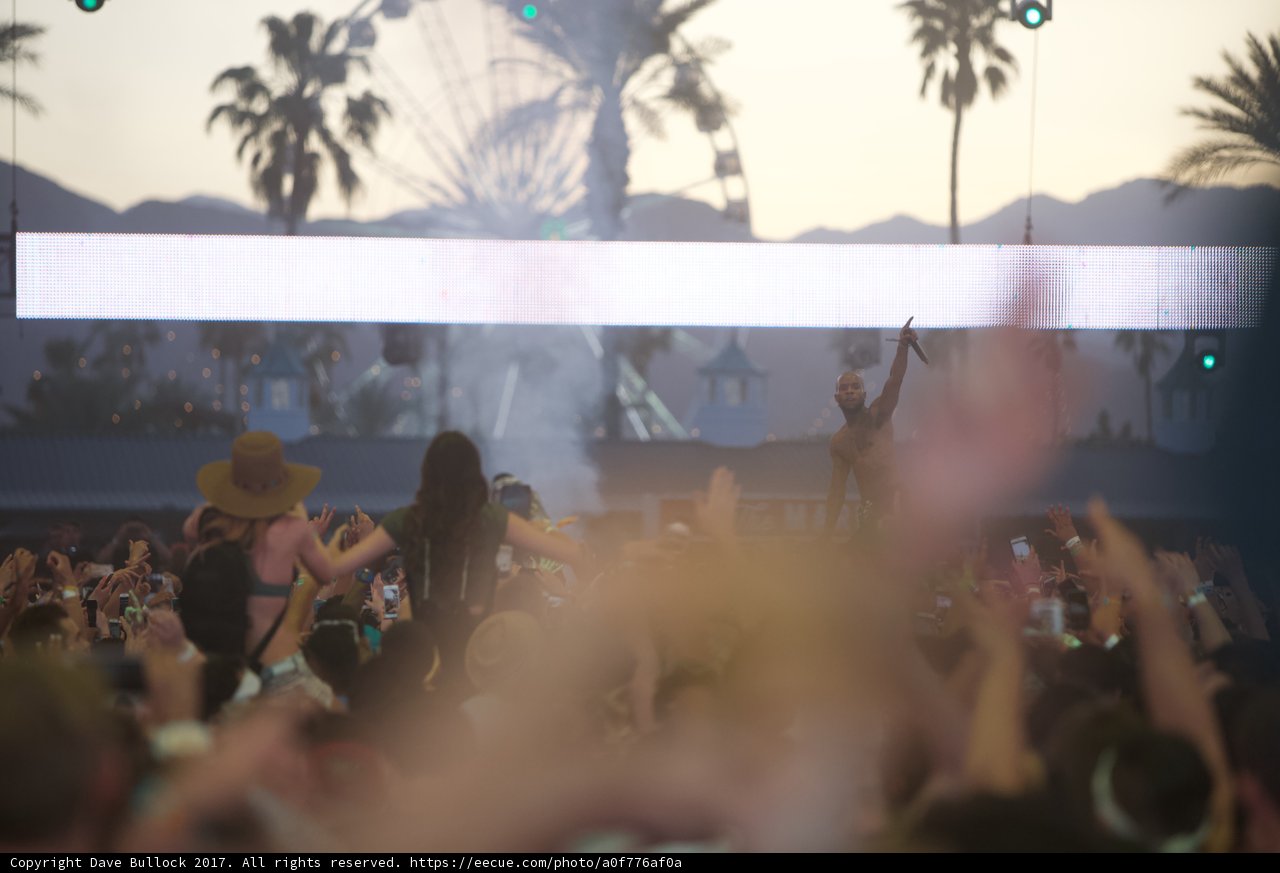 Palm Trees and Party Nights