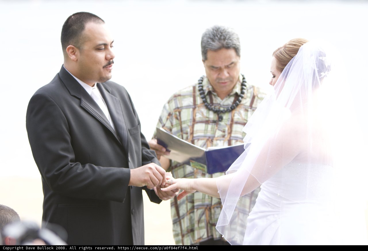 Beach Wedding Bliss