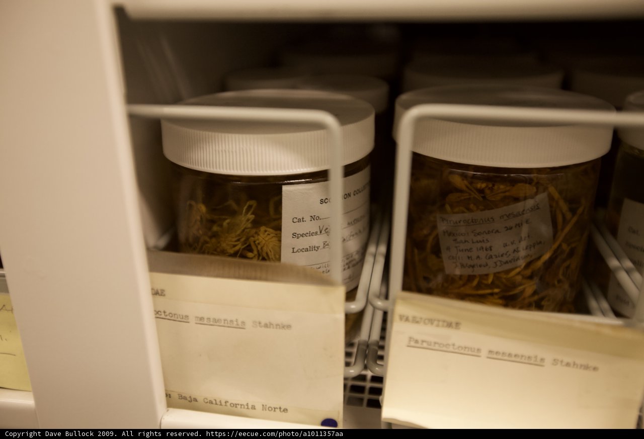 Aromatic Herb Collection on Display