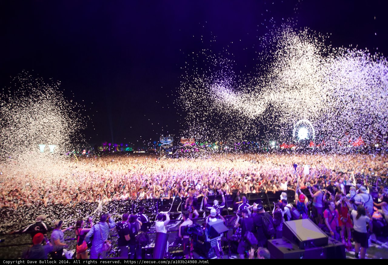Festival Fever