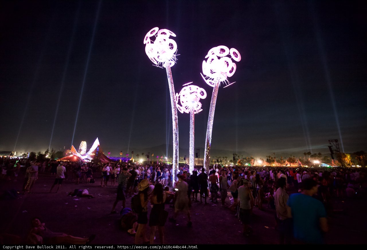 Light Up the Night: Festival Crowd