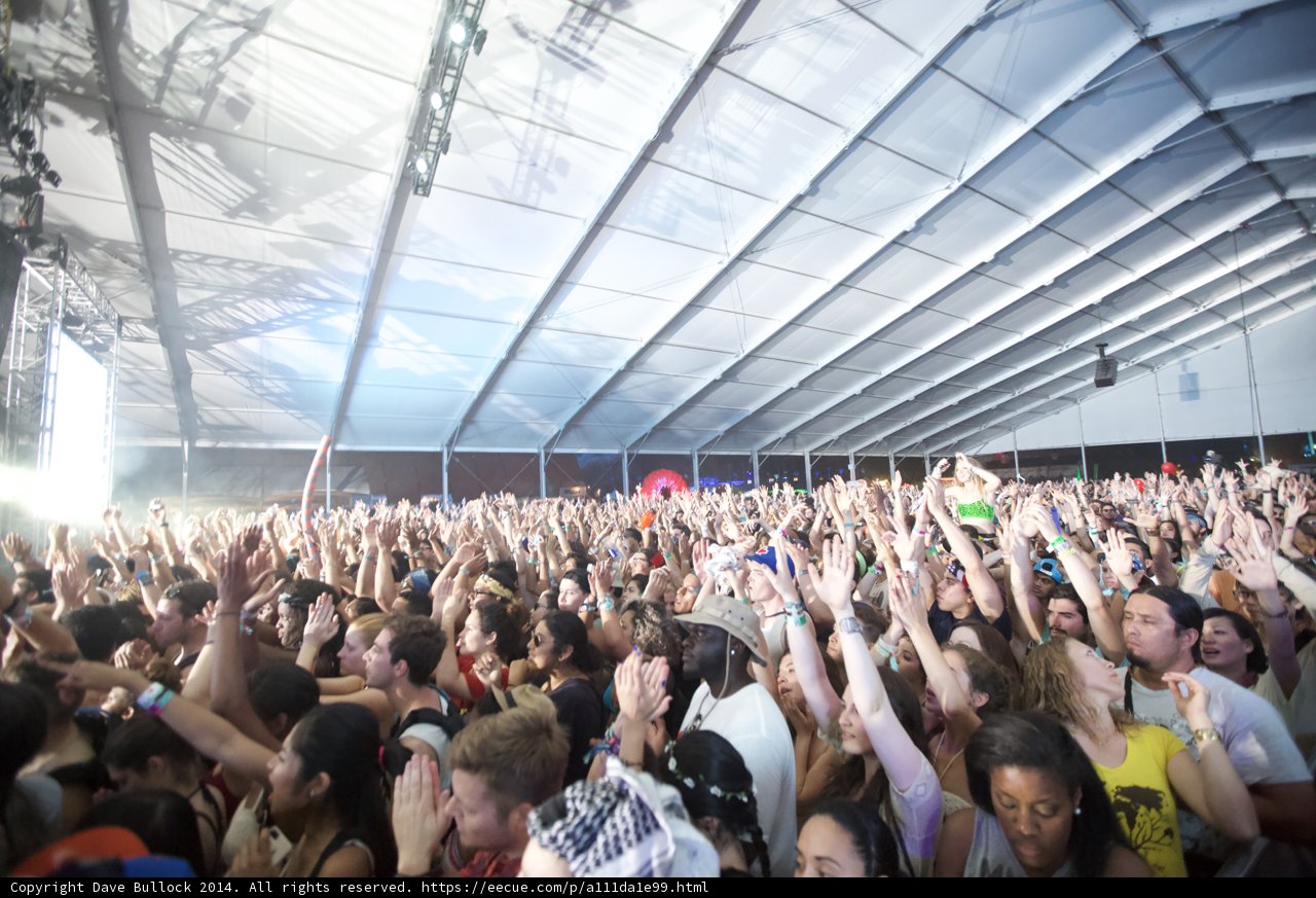Concert Crowd at Coachella 2014