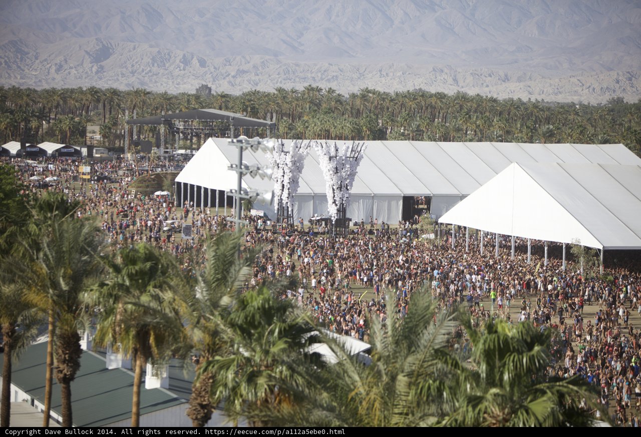 Desert Festival Extravaganza