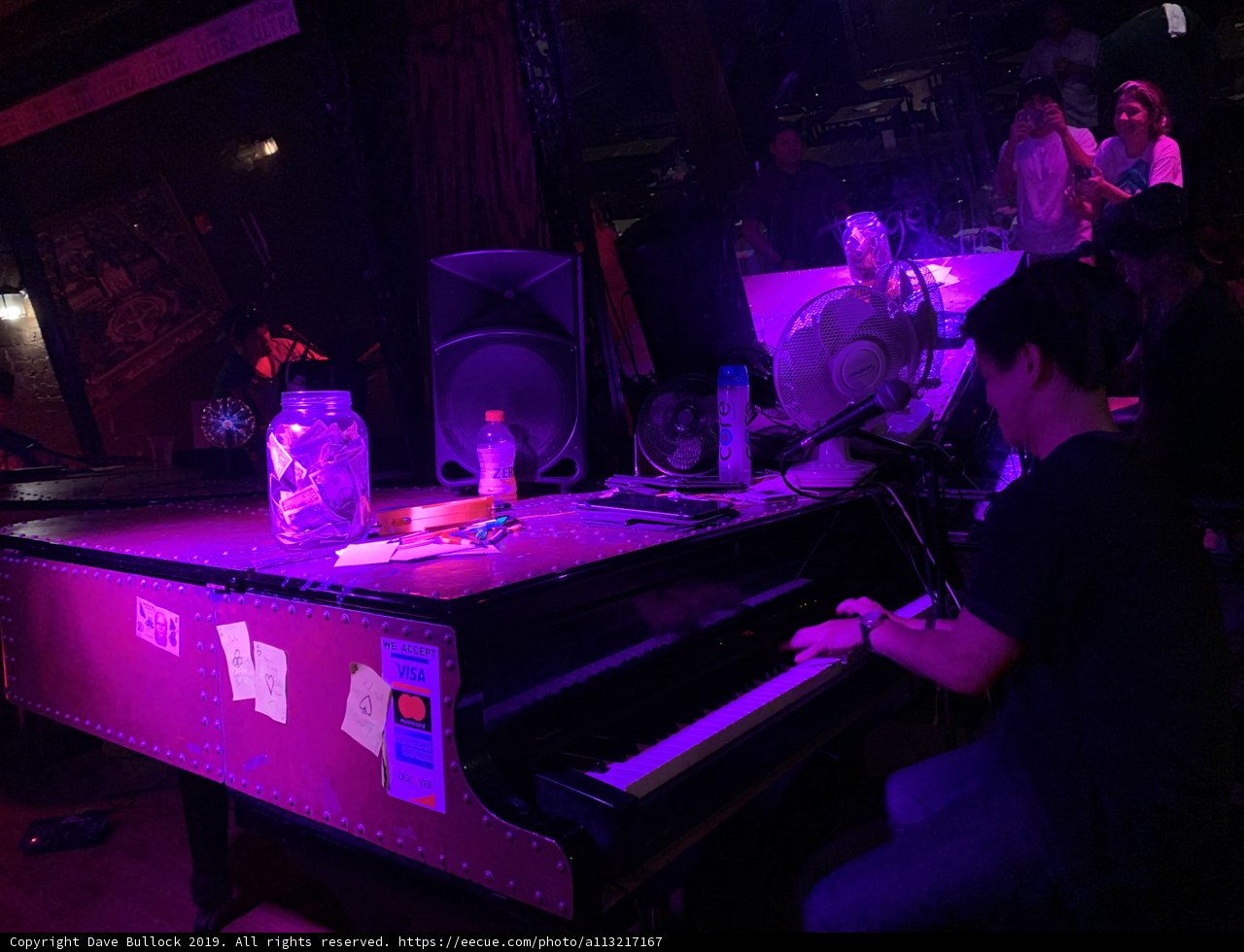 Midnight Serenade