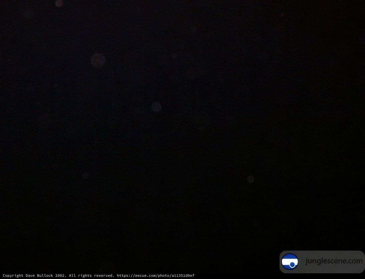 Nighttime Wonders of the Galaxy