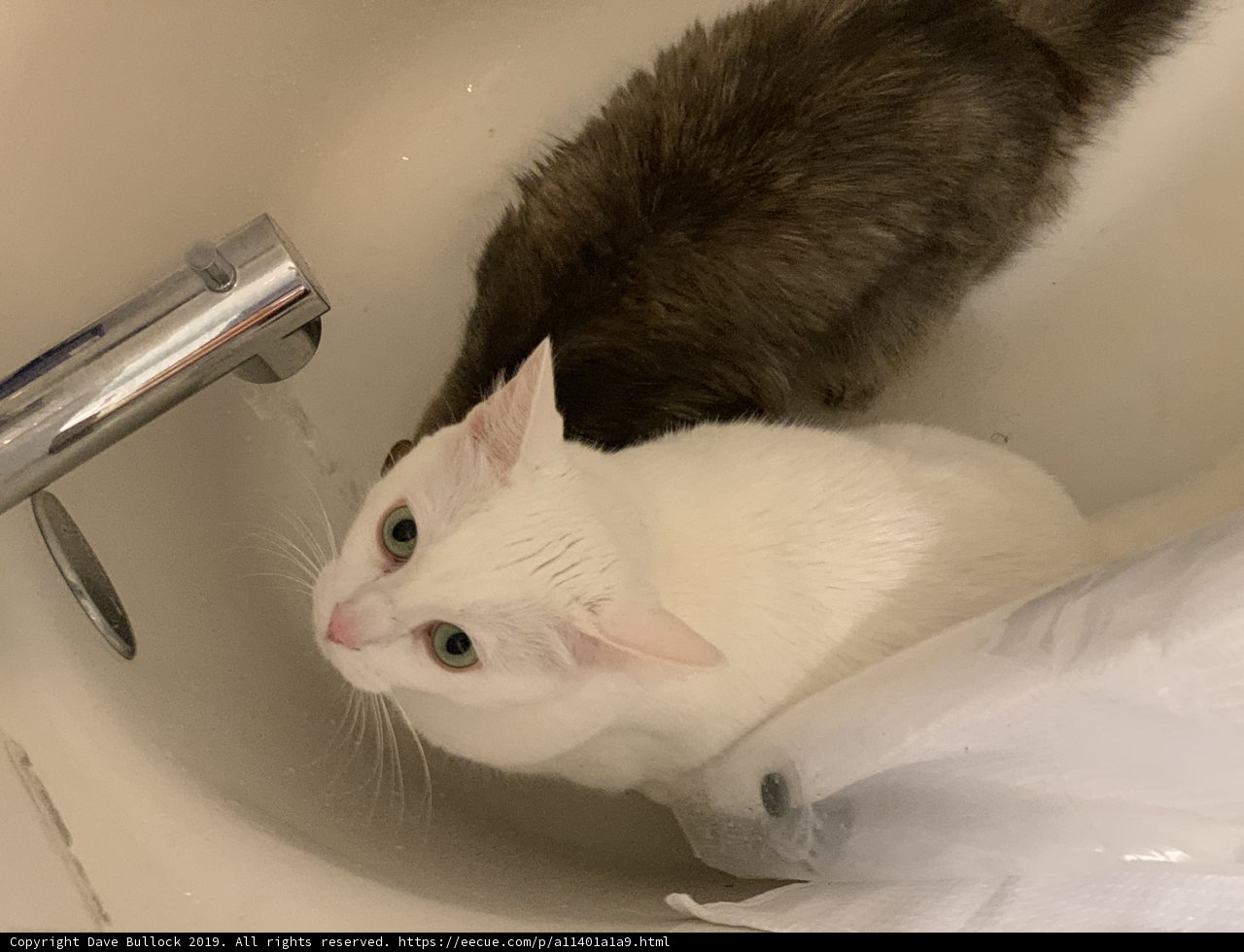 A Cozy Sink for Two