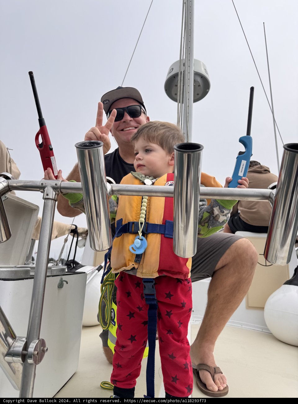 Harbor Adventures in the Sun
