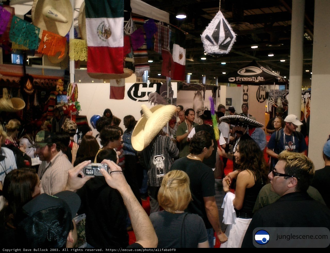 Convention Crowd Waves Flags and Rocks Hats