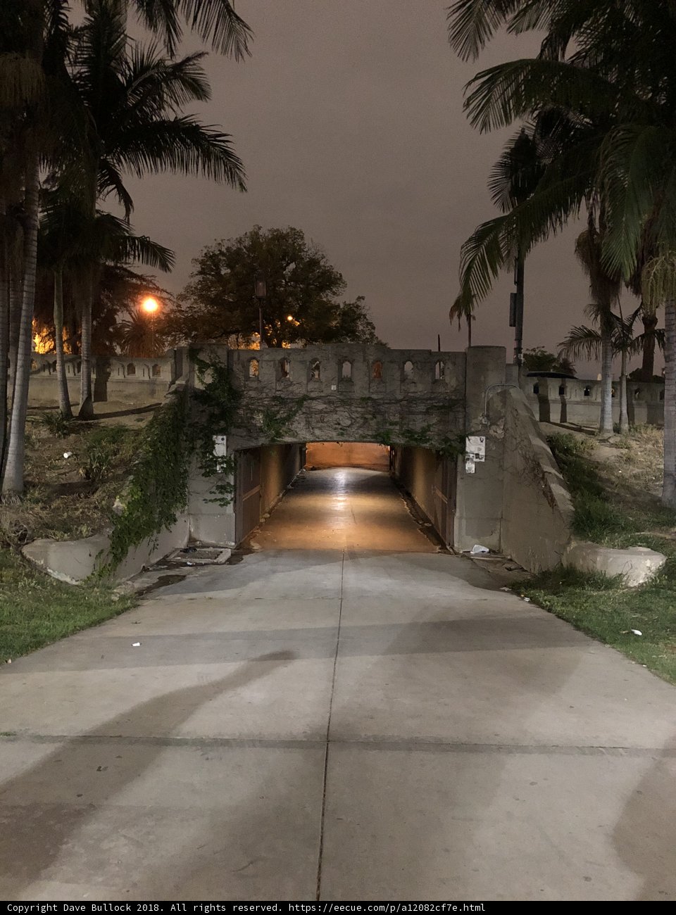 Tropical Walkway at Night