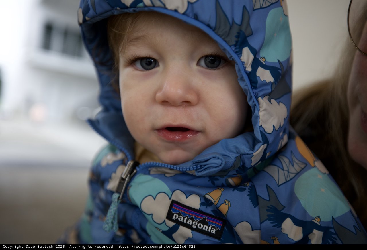 Toddler in Blue Patagonia Winter Jacket Portrait