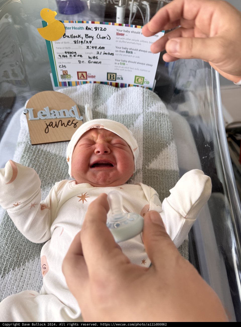 Welcome to the World, Leland