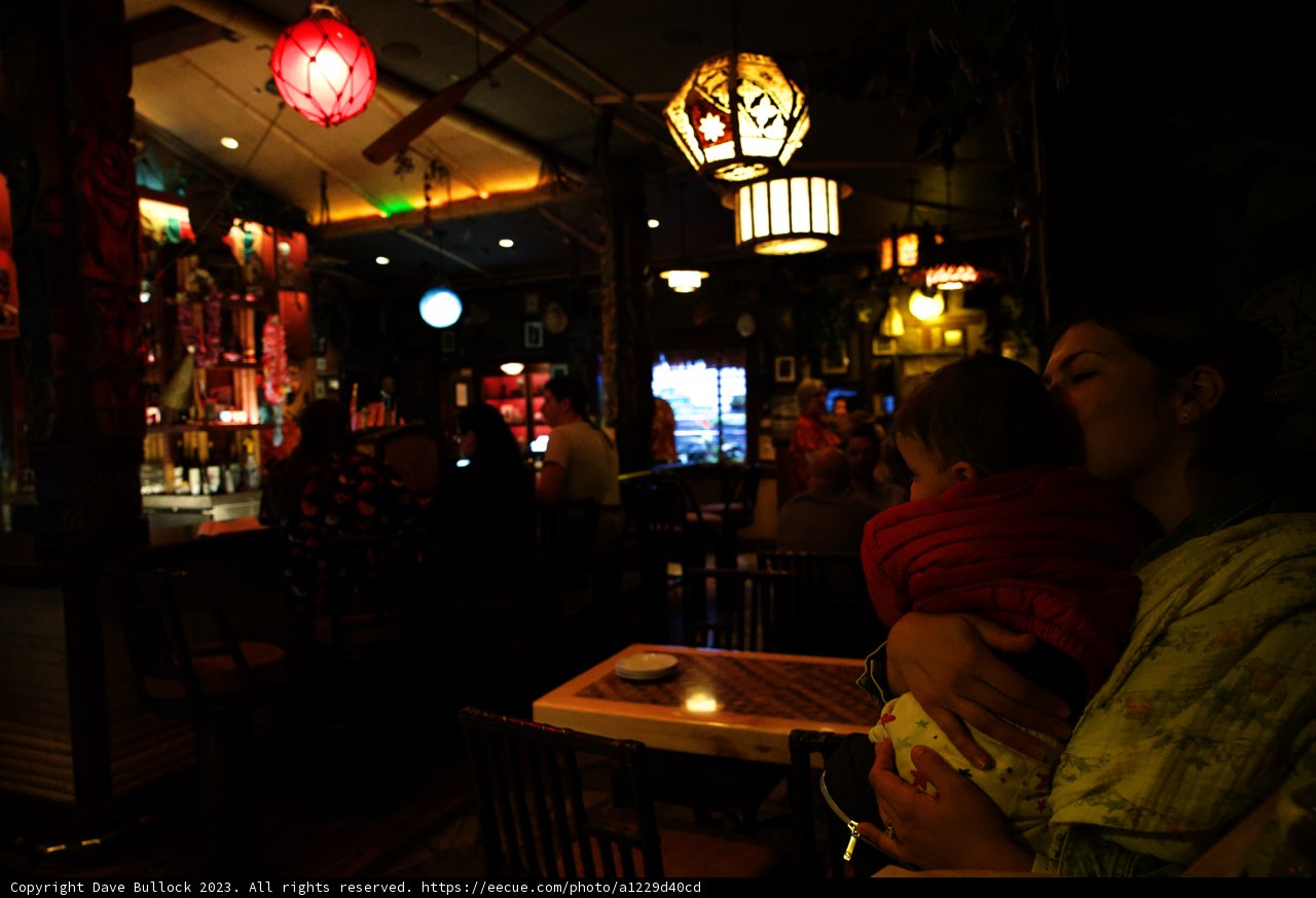 Cherished Moments: Dining with Family at Disneyland