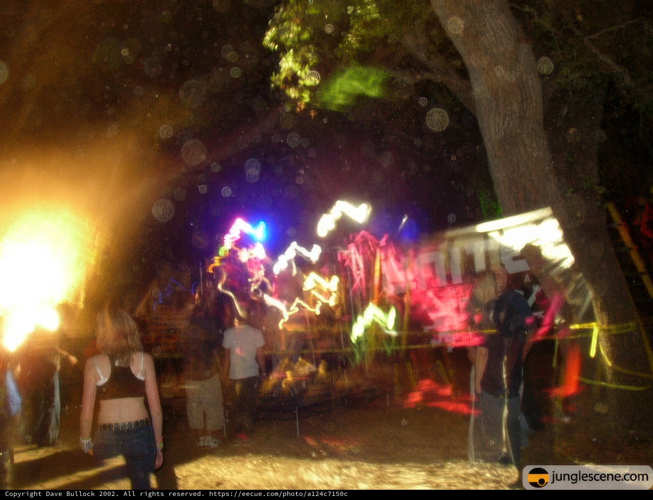 Nighttime Fire Gathering