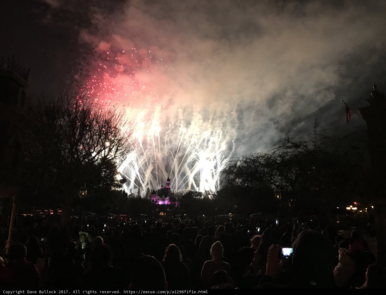 The Spectacular Disneyland Fireworks Display