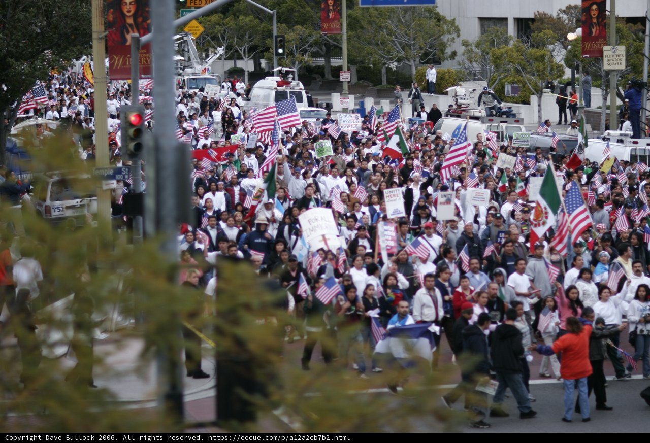 Patriotic Protesters March with American Flags and Signs