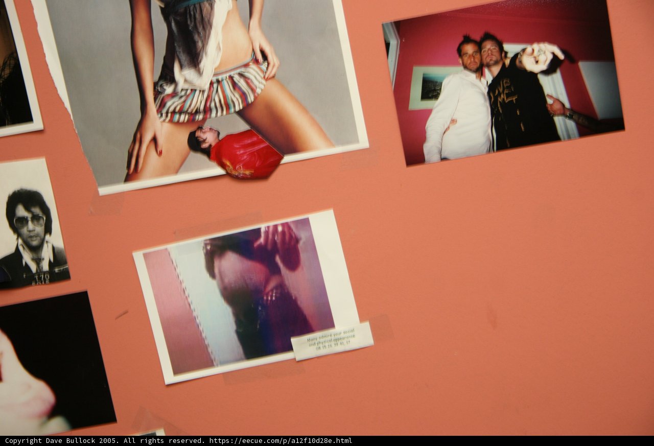 The Collage of '24 7