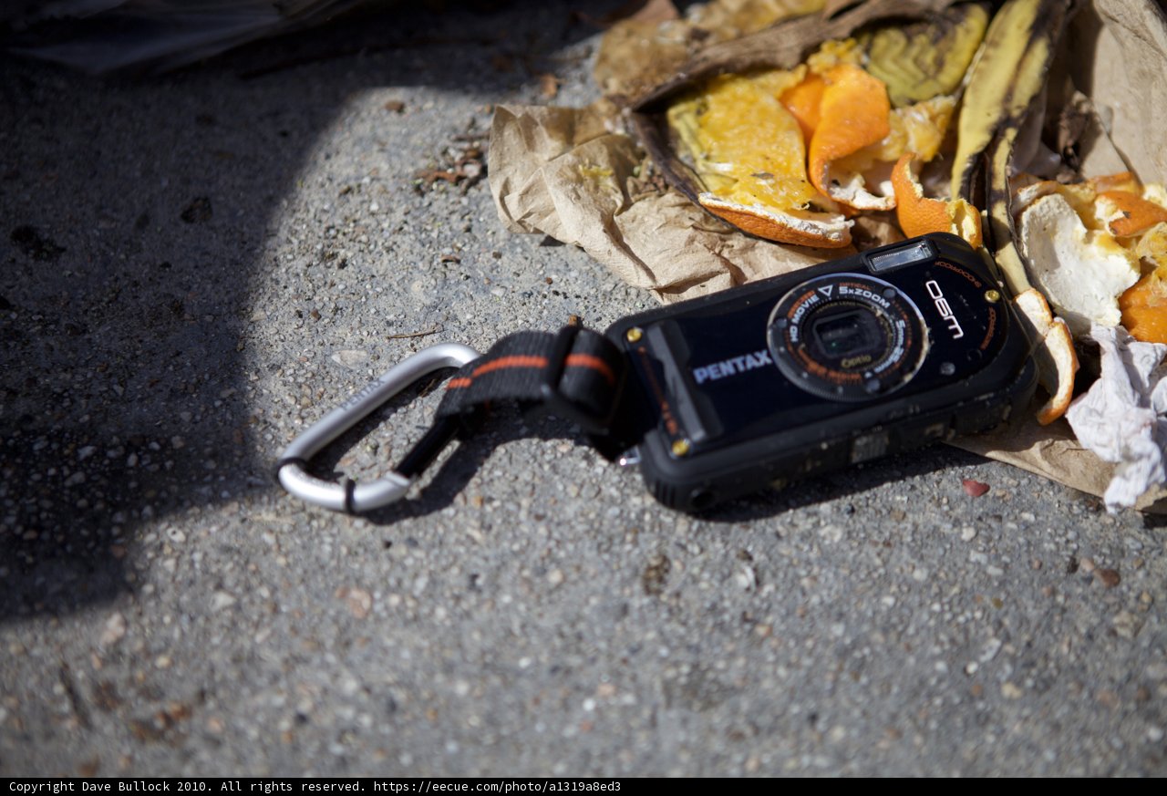Abandoned camera in the foliage