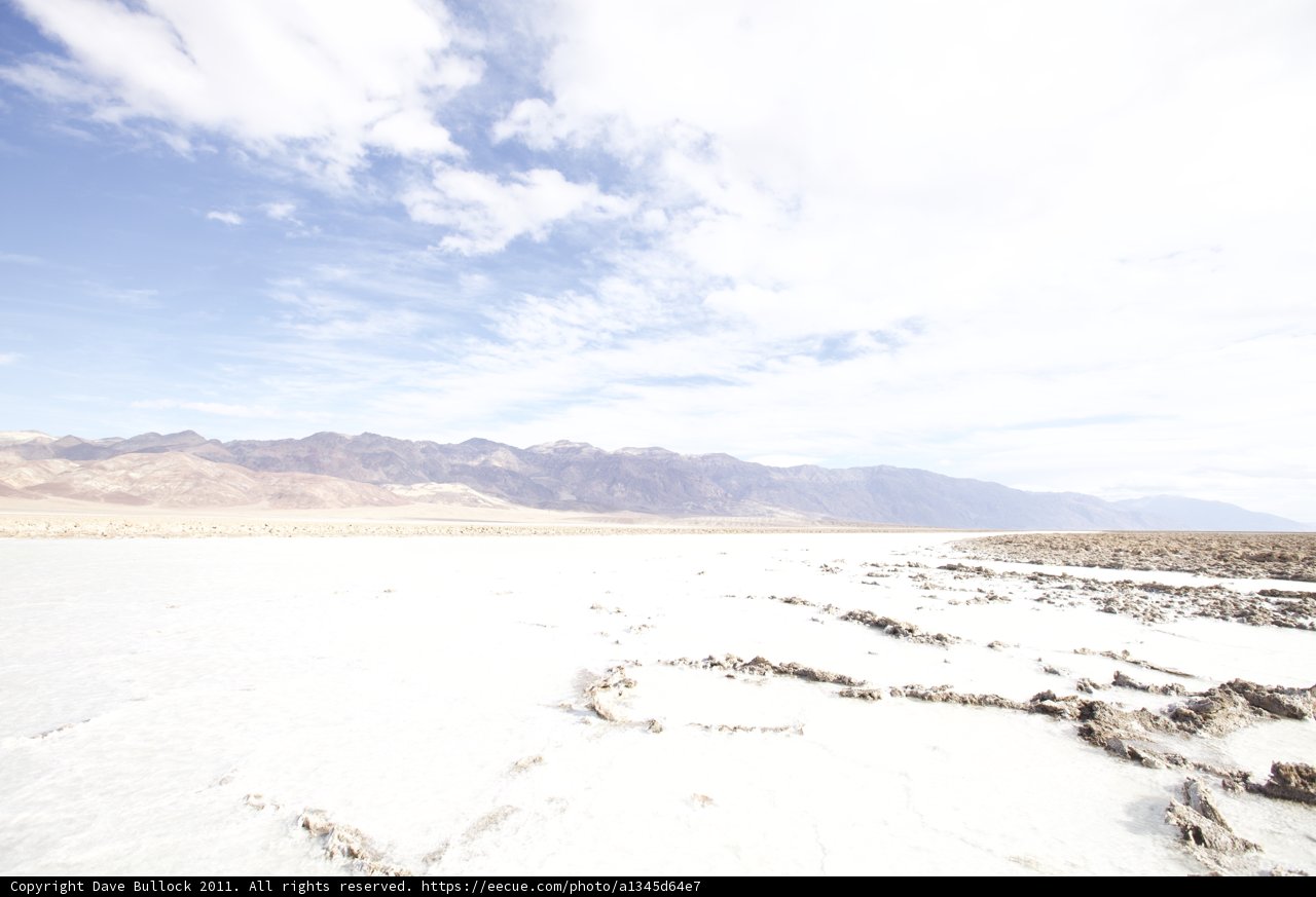 Oasis in the Desert