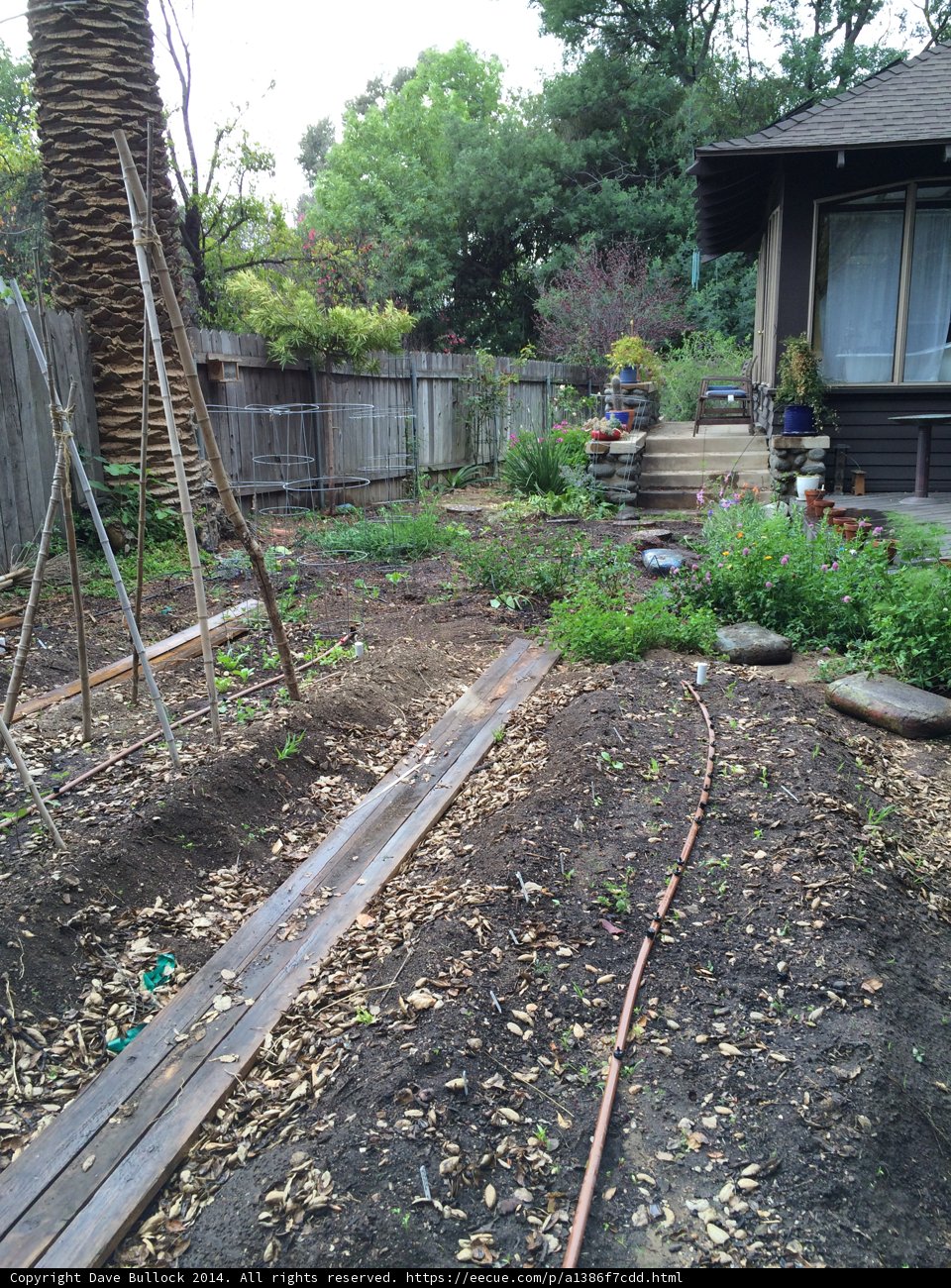 A Serene Backyard Garden Escape