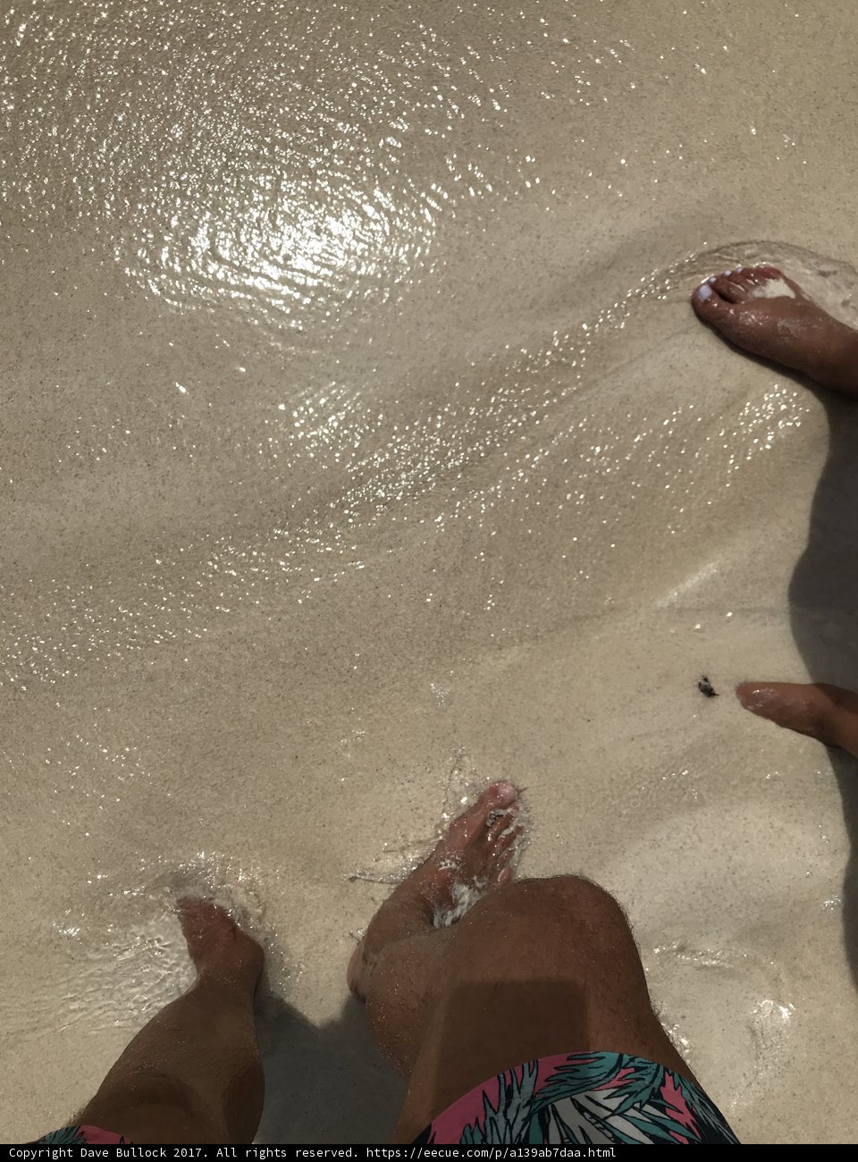 Beach Day with the Fam