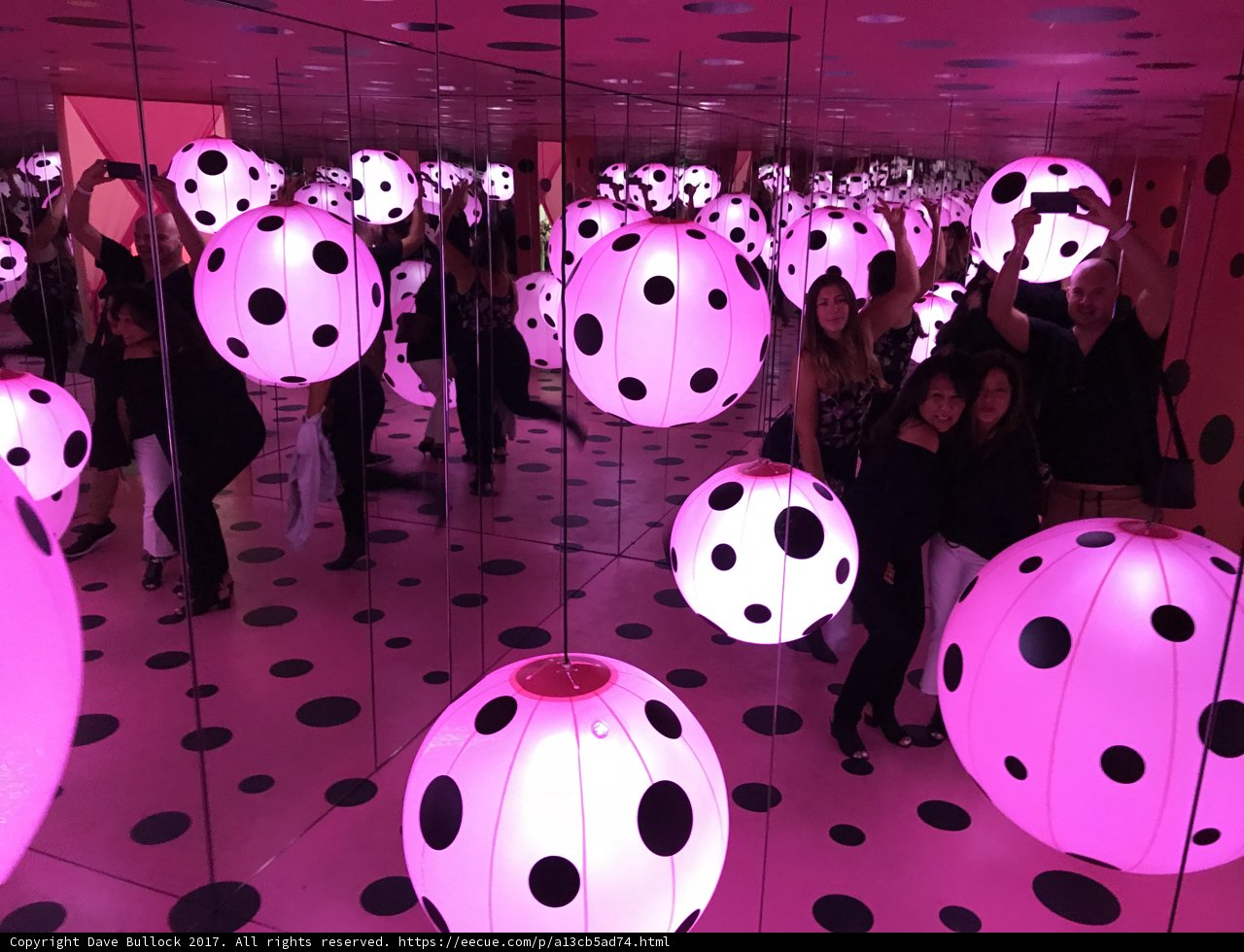 Polka Dot Wonderland