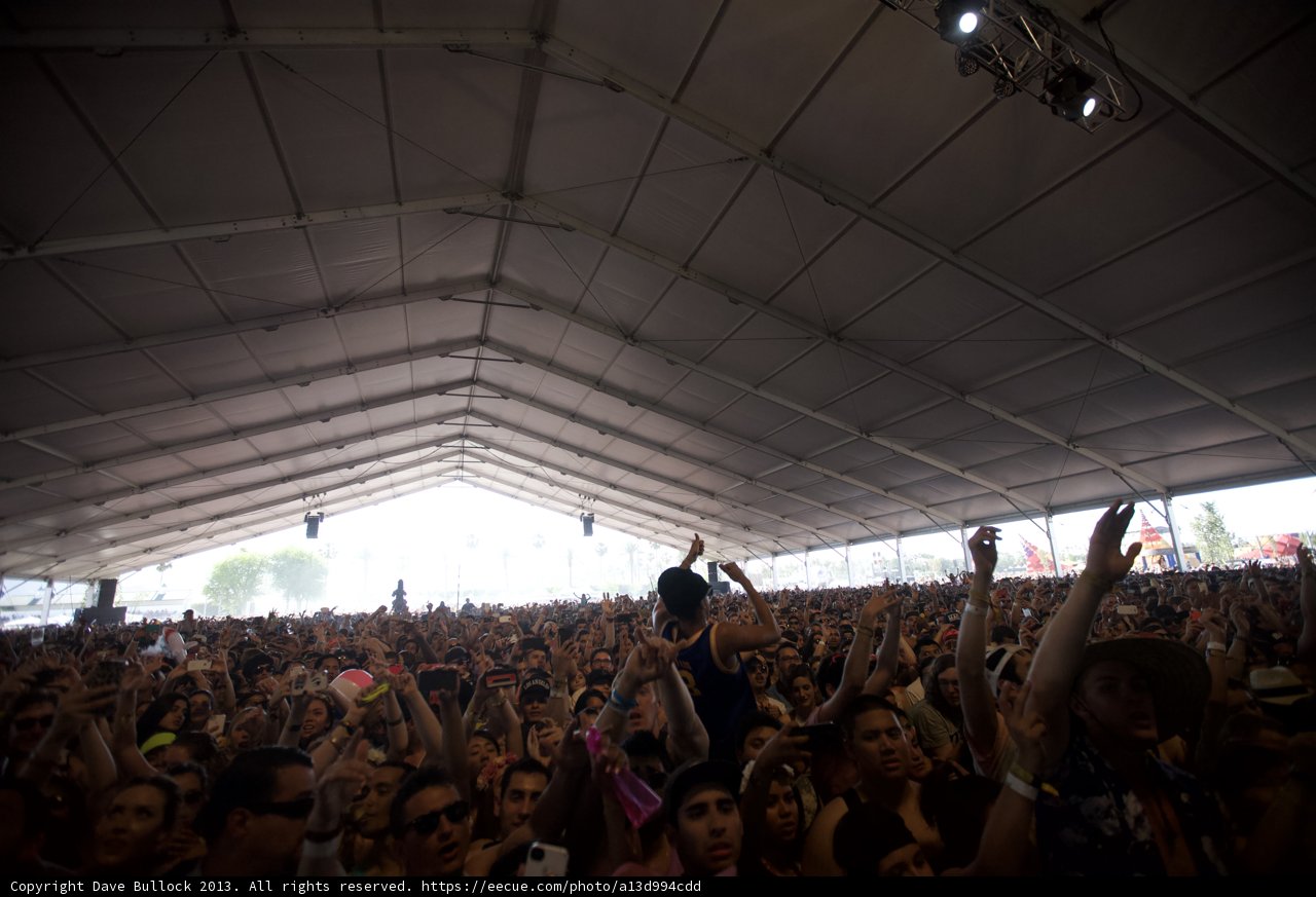 Music Festival Madness