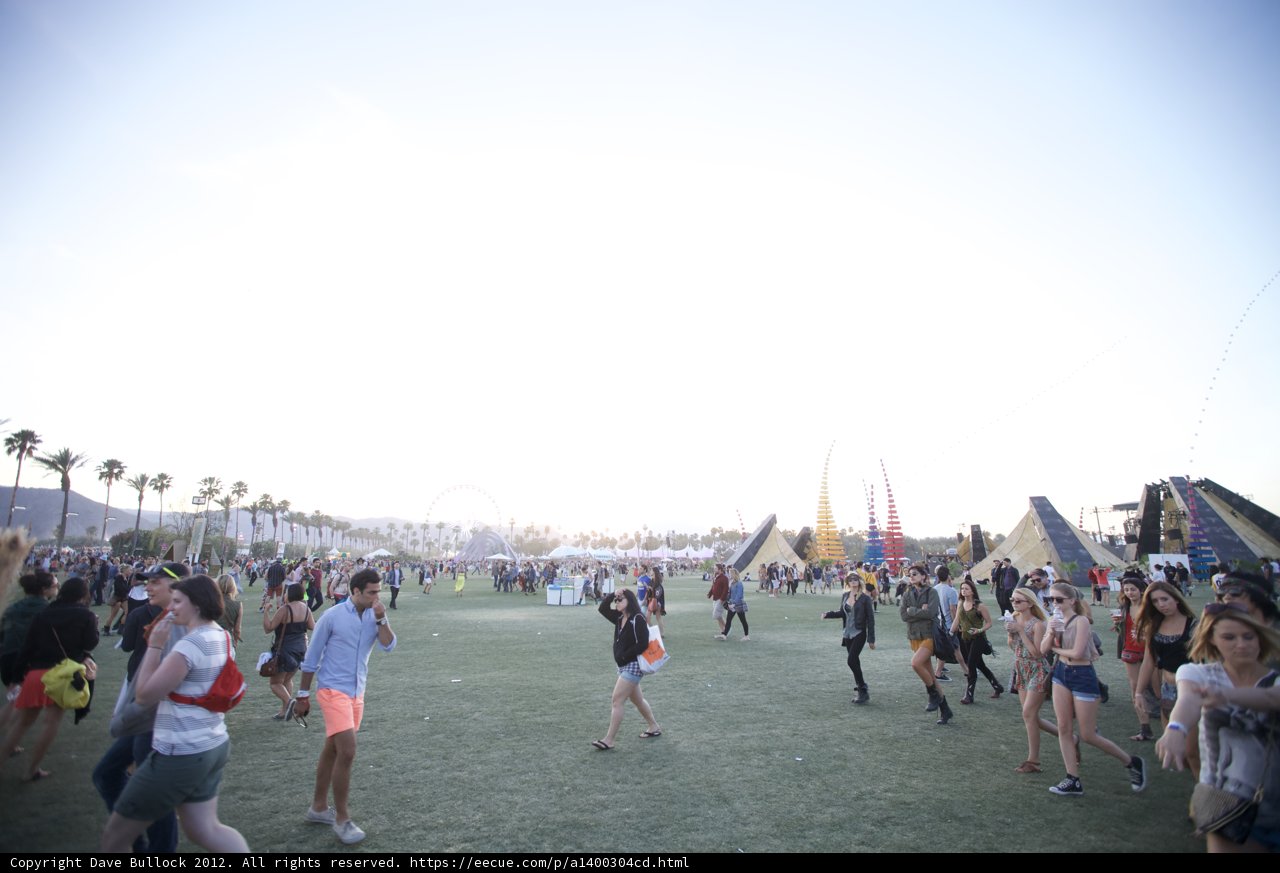 Festival Fun