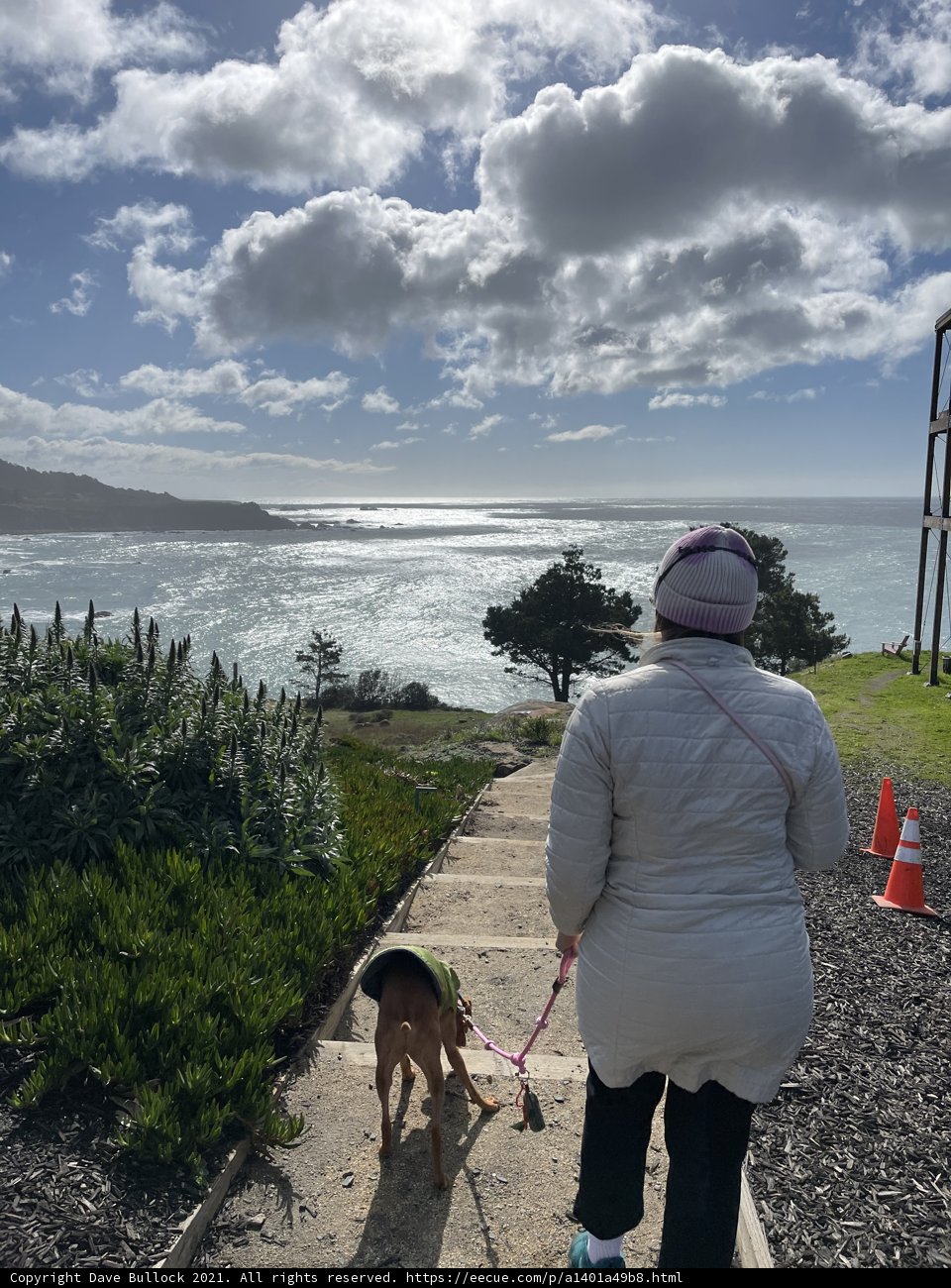 A Leisurely Stroll by the Ocean