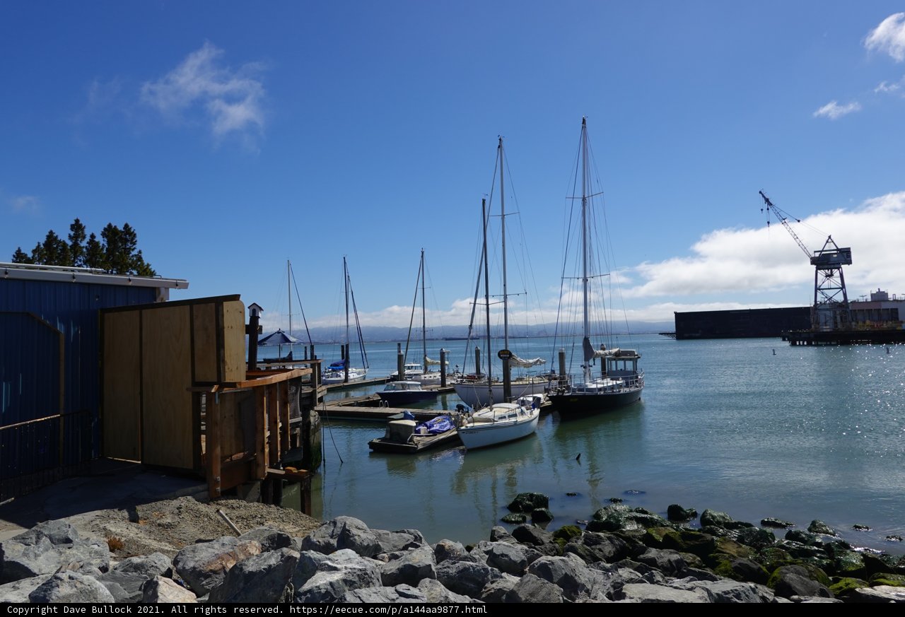 Serene Harbor Scene