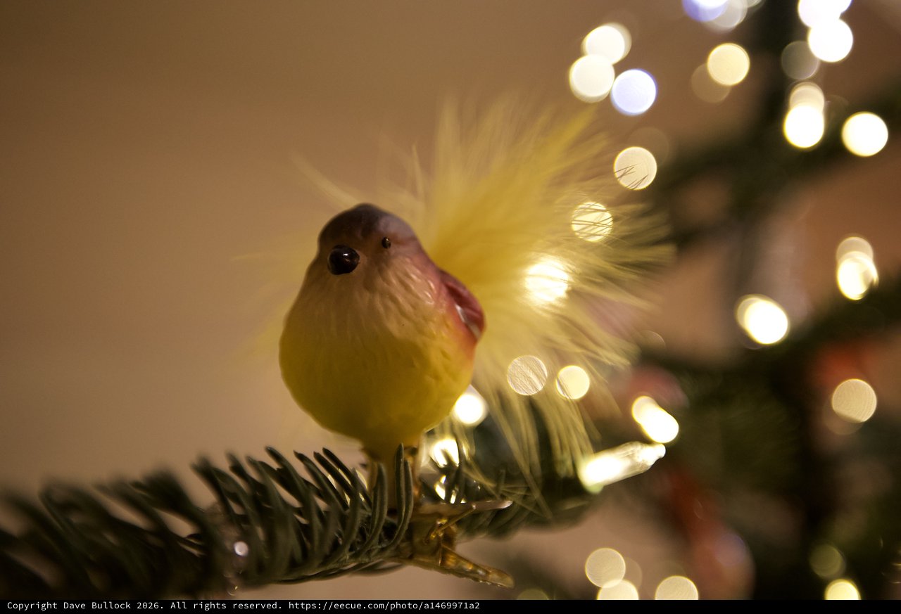 Cheerful Bird Ornament on Illuminated Christmas Tree