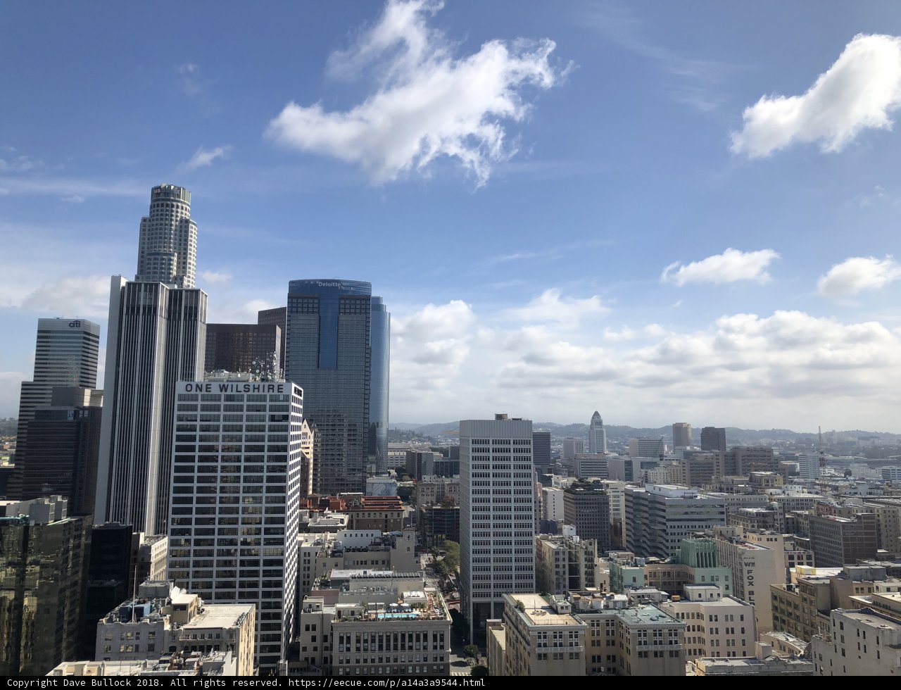 Overlooking the Urban Jungle