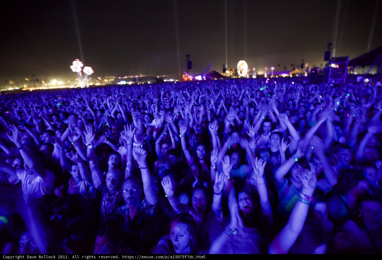 Coachella Crowd Lost in Music Under Starry Sky