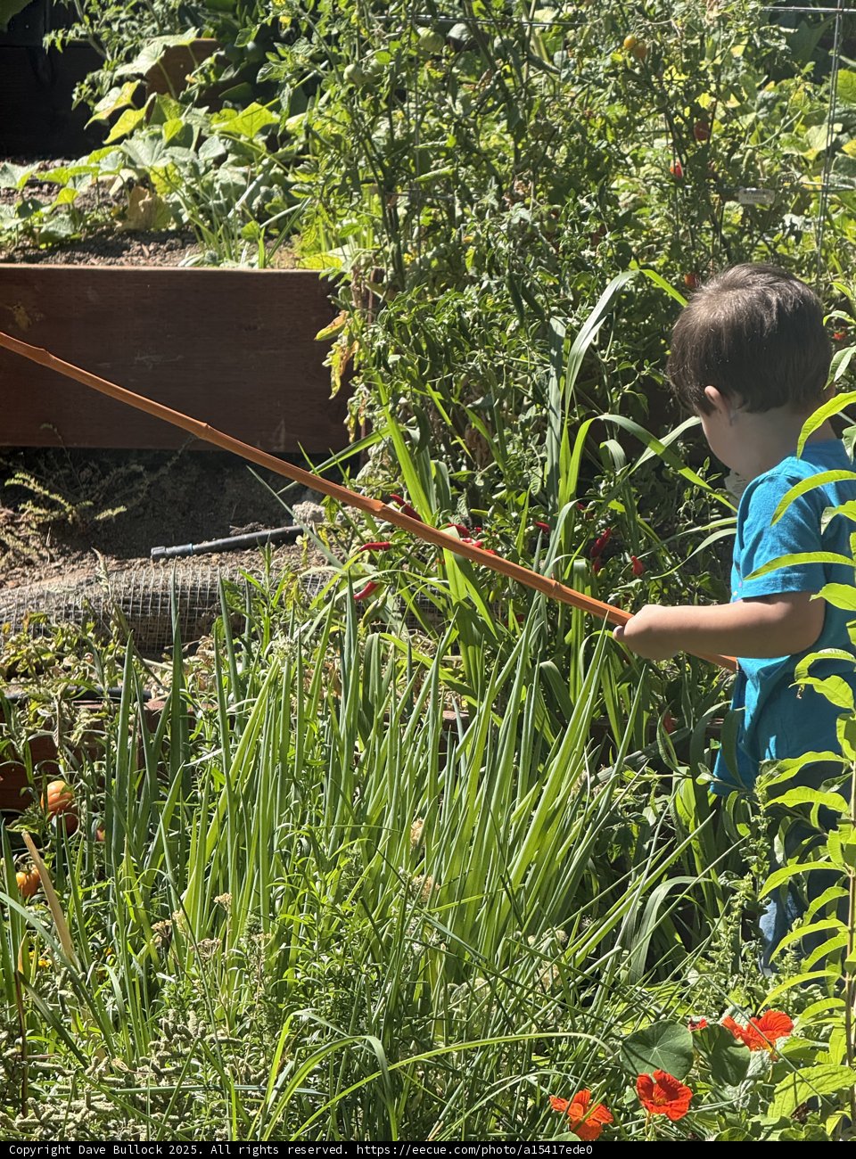 Growing Adventures