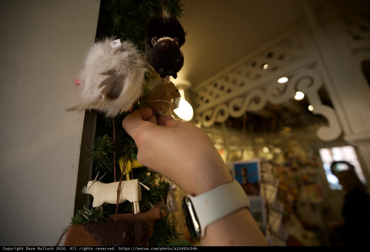 Decorating the Christmas Tree with Festive Ornaments