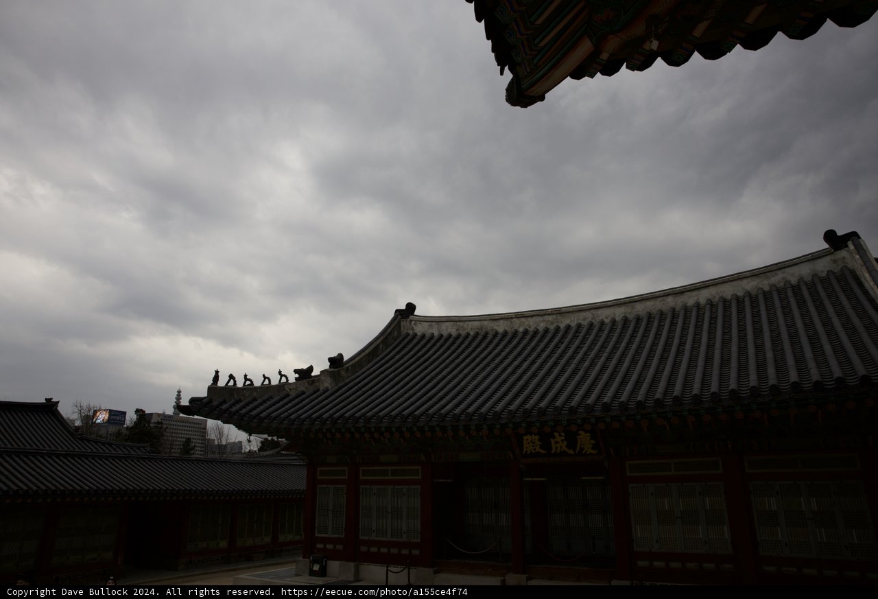 Roofline Rhapsody of Korea, 2024
