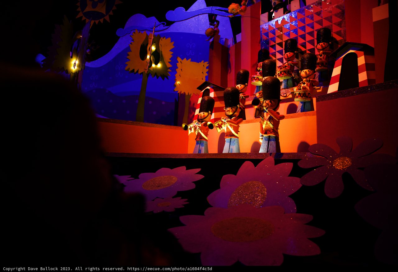 Magical Disneyland Performance
