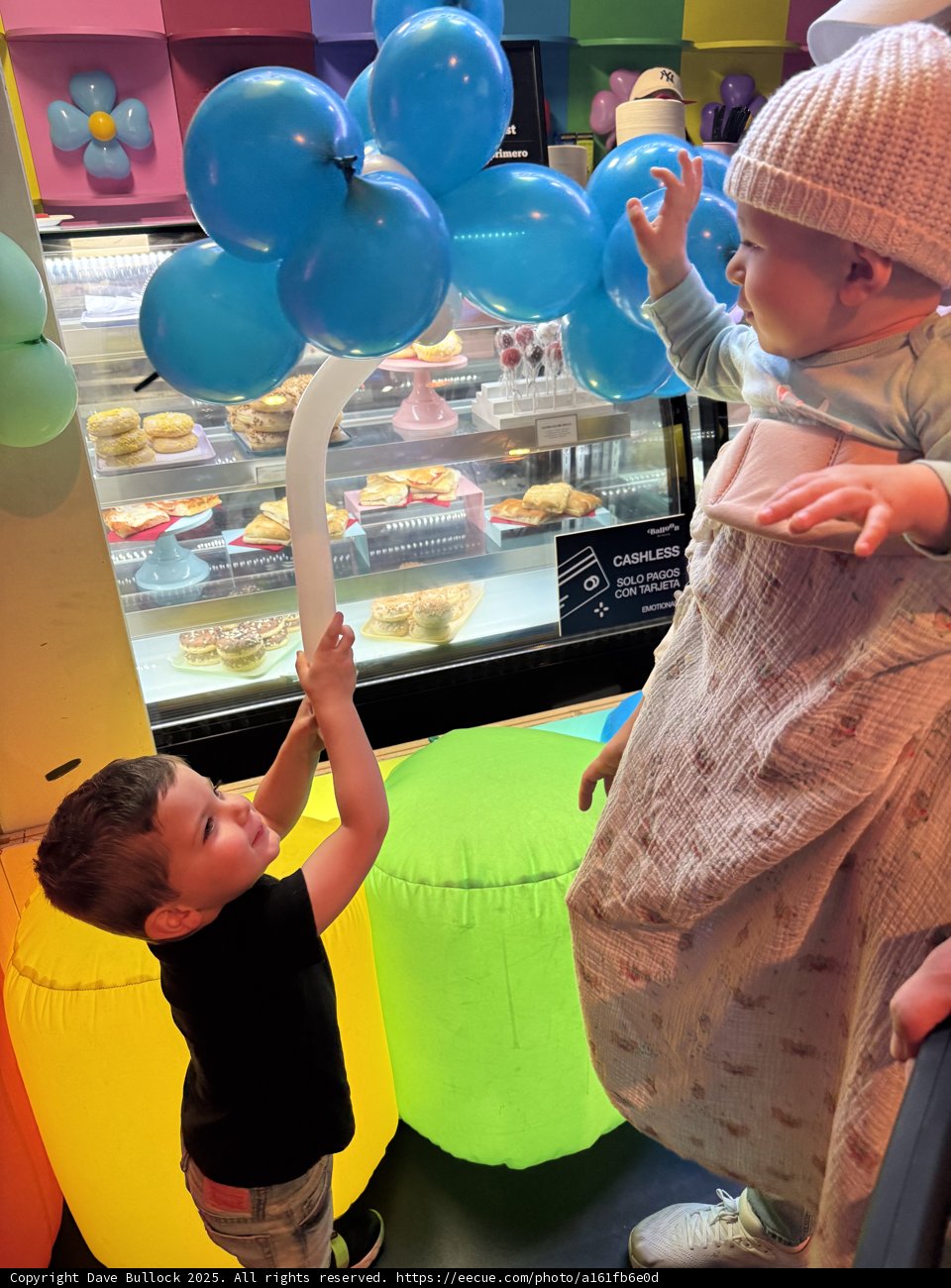 Balloon Adventures at the Palace