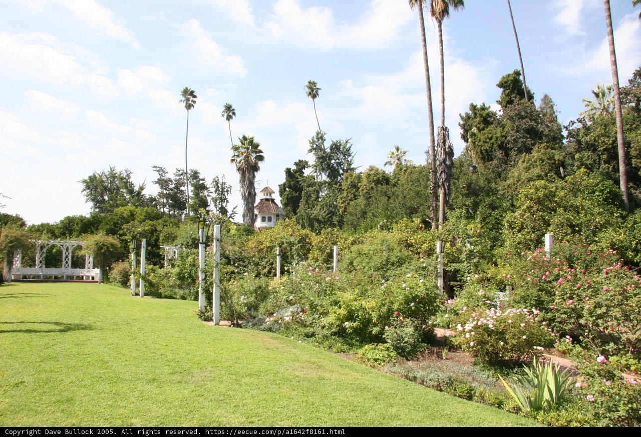 Serene Villa Garden