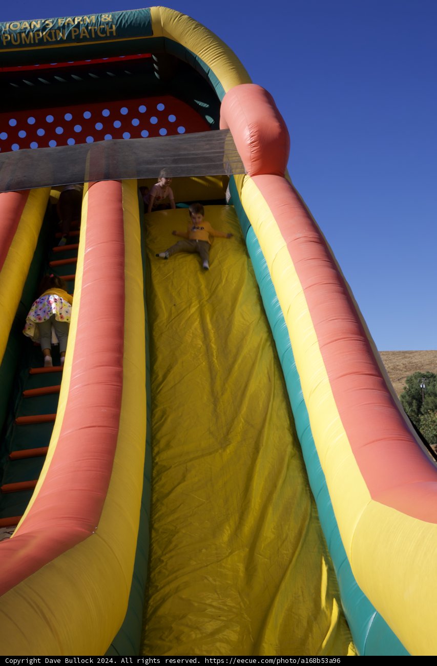 Fun-Filled Day at the Pumpkin Patch