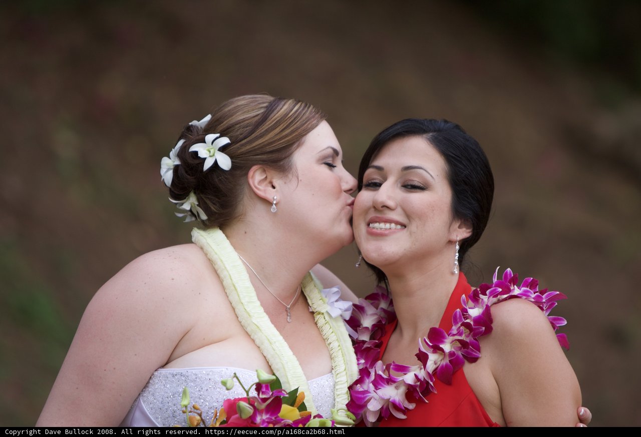 Wedding Bliss