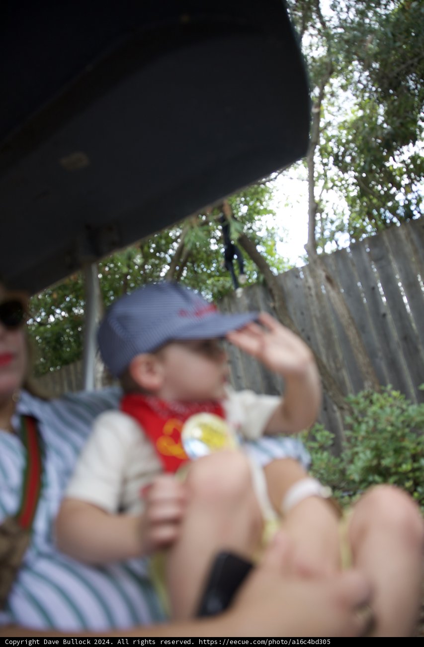 Wesley's Backyard Birthday Adventure