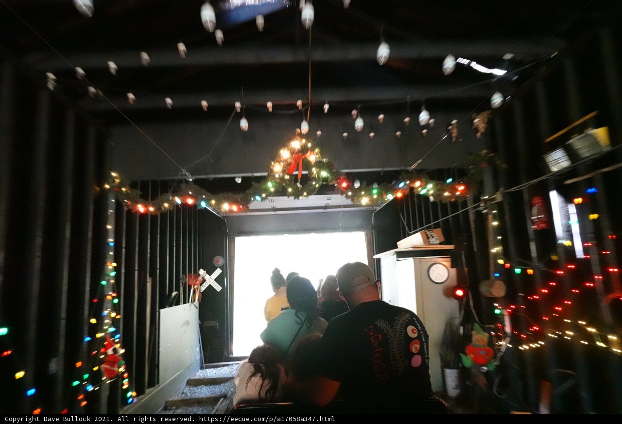 Festive Family Gathering Under Glowing Christmas Lights