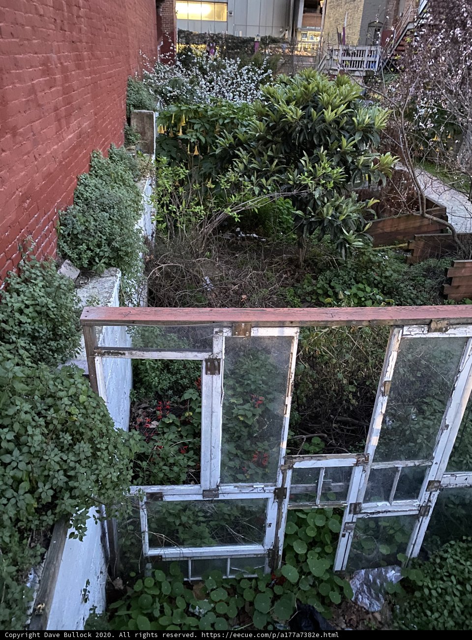 Serenity in San Francisco Garden