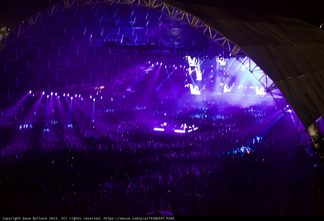 Purple Haze Concert