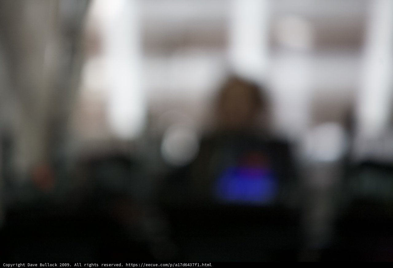 Blurred Silhouette in Coachella