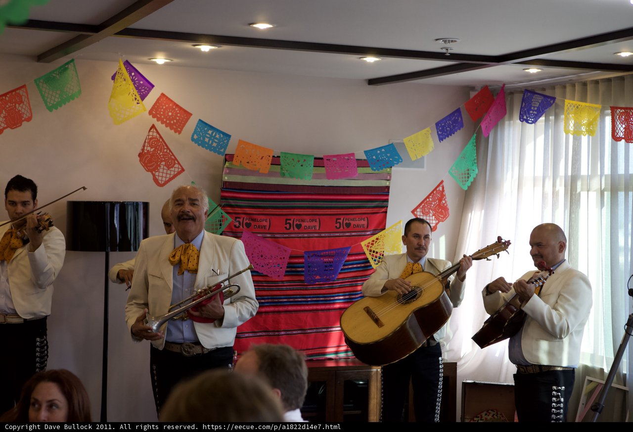 Musical Fiesta Madness