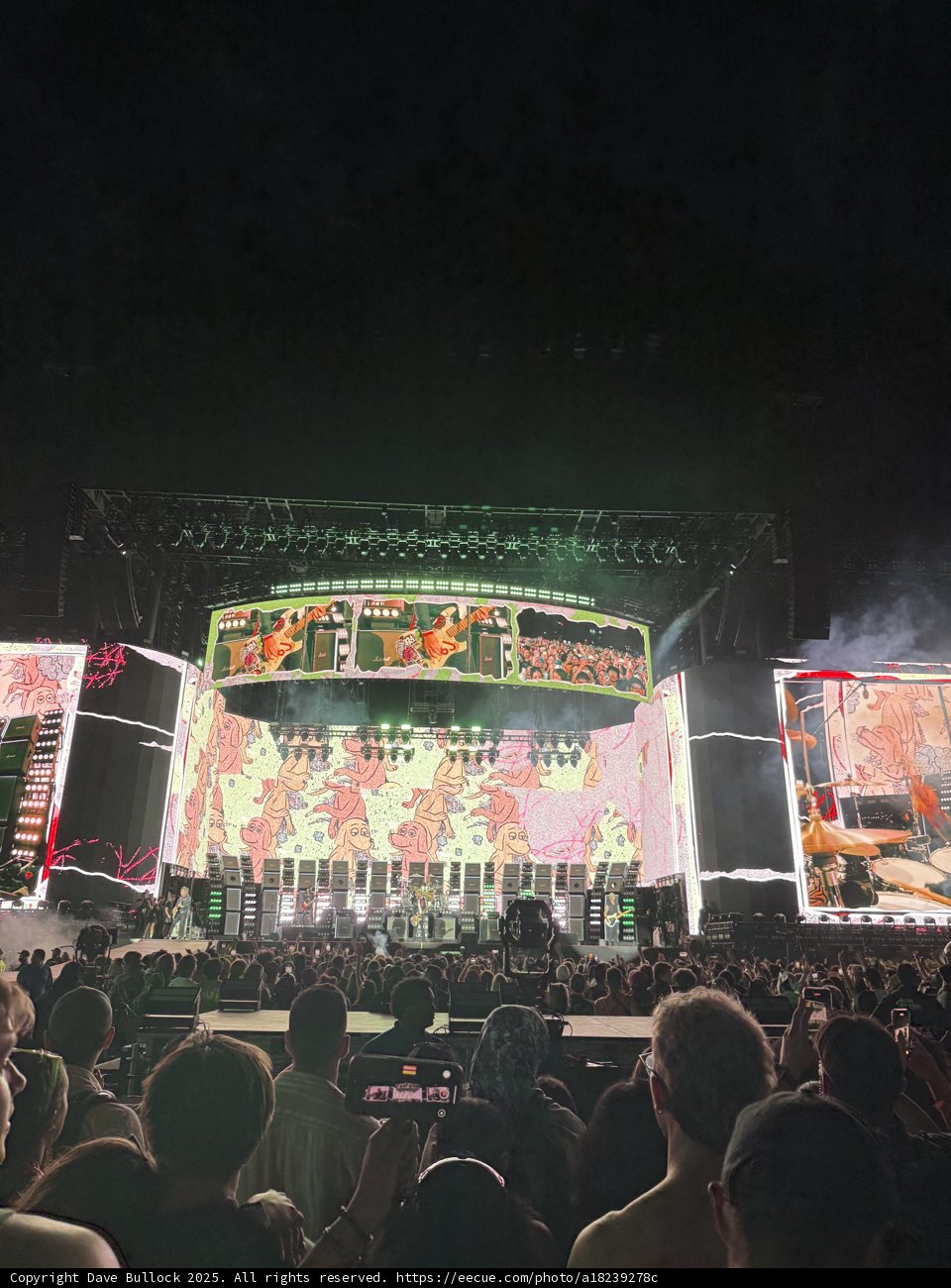 Electric Night at Indio